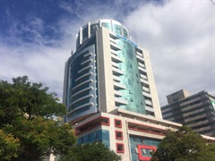 BUSINESS REGISTRATION AND LICENSING AGENCY (BRELA)2  